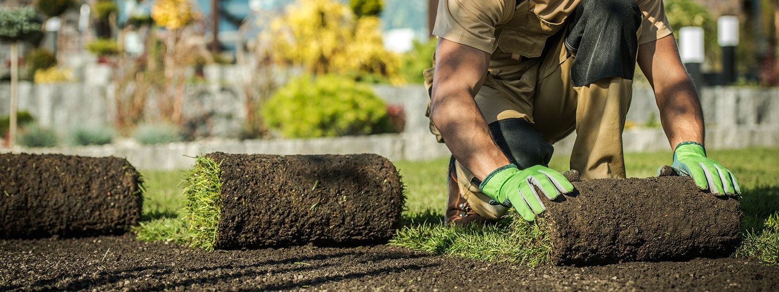 A man wearing green gloves is rolling a roll of grass in a garden.
