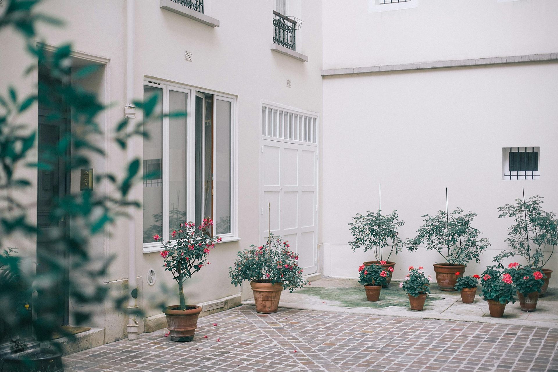 A courtyard with potted plants in front of a white building.