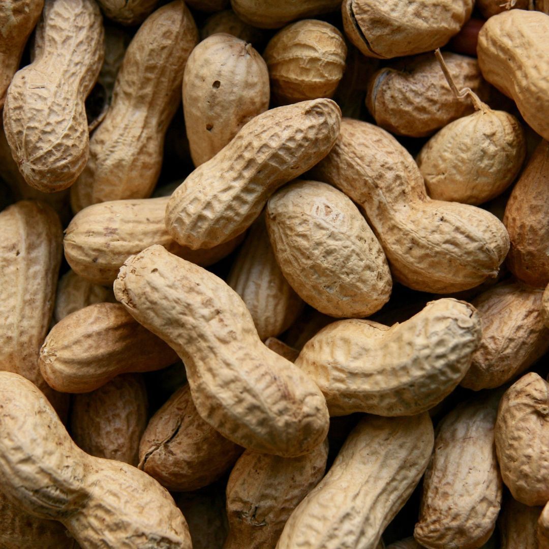 Cacahuète d'Egypte