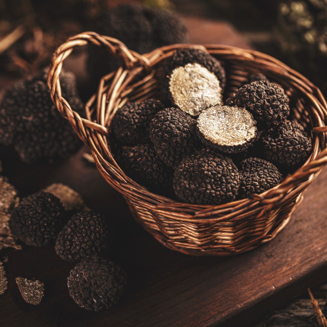 Italian black truffle