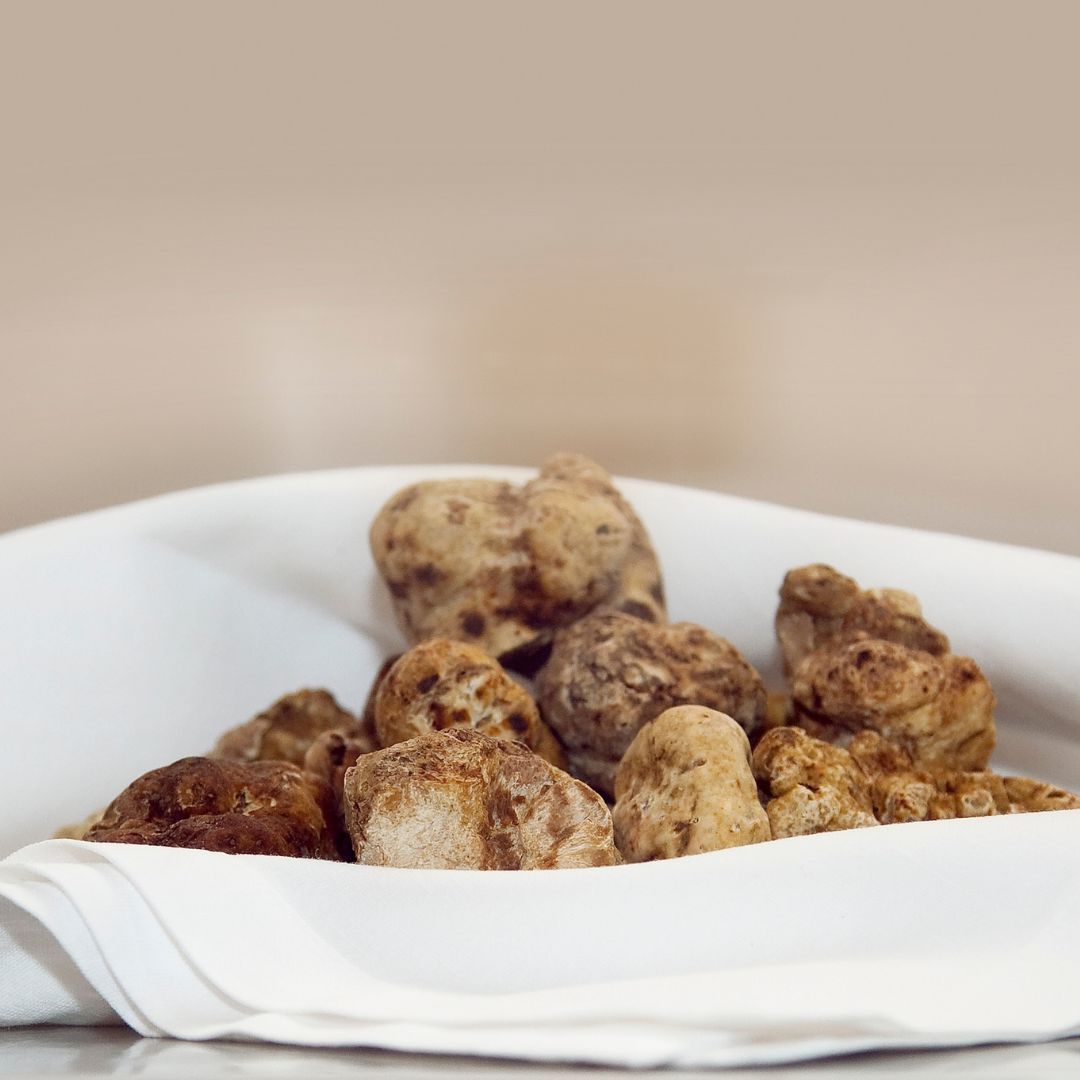 White Alba truffle