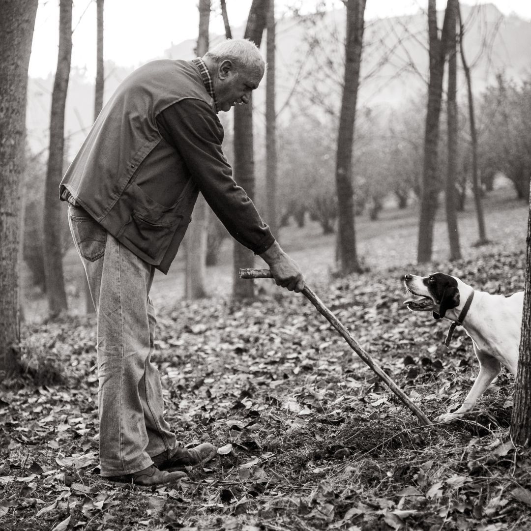 Cavage Italy truffle