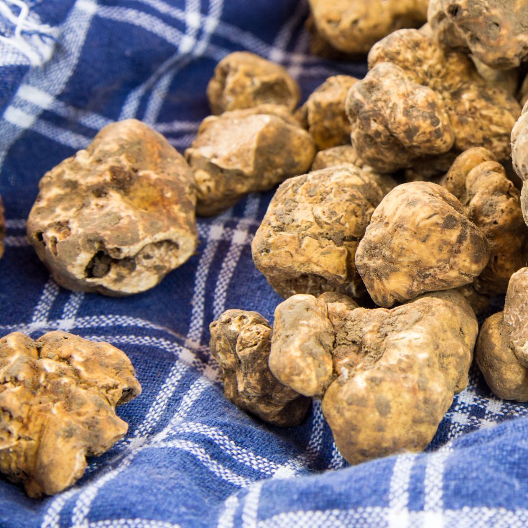 Truffes blanches