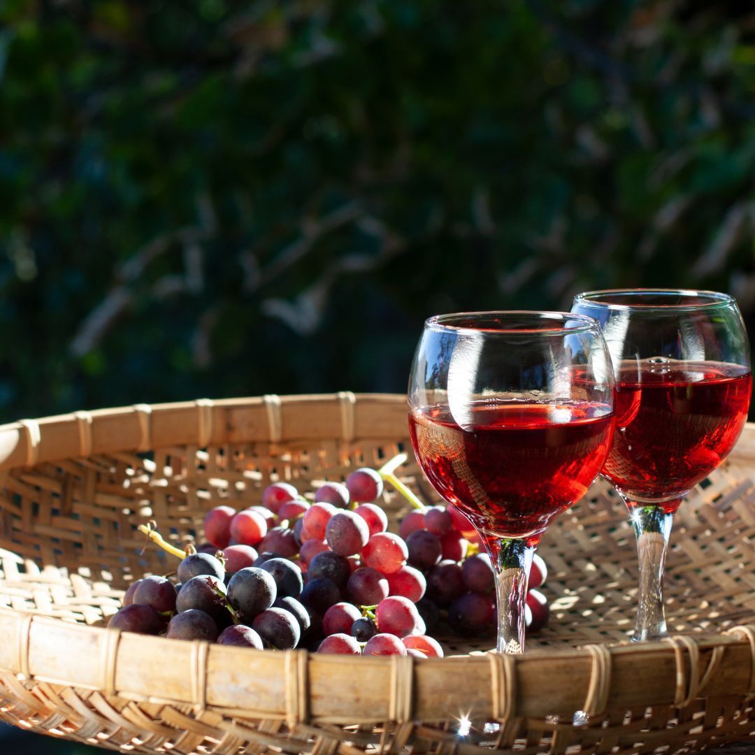 Vins, sirops & liqueurs