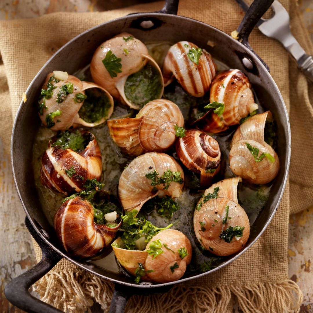 Premium snails of Bourgogne