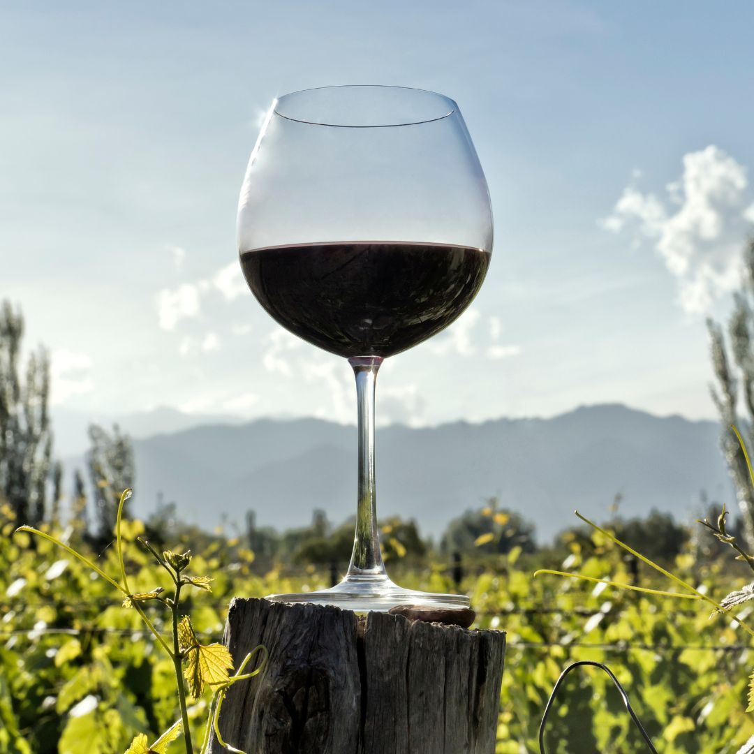 Vin rouge italien premium