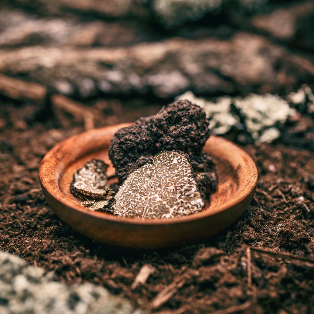 Quality black truffle