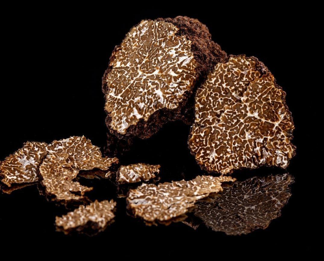 Truffe blanche Tuber Magnatum Pico