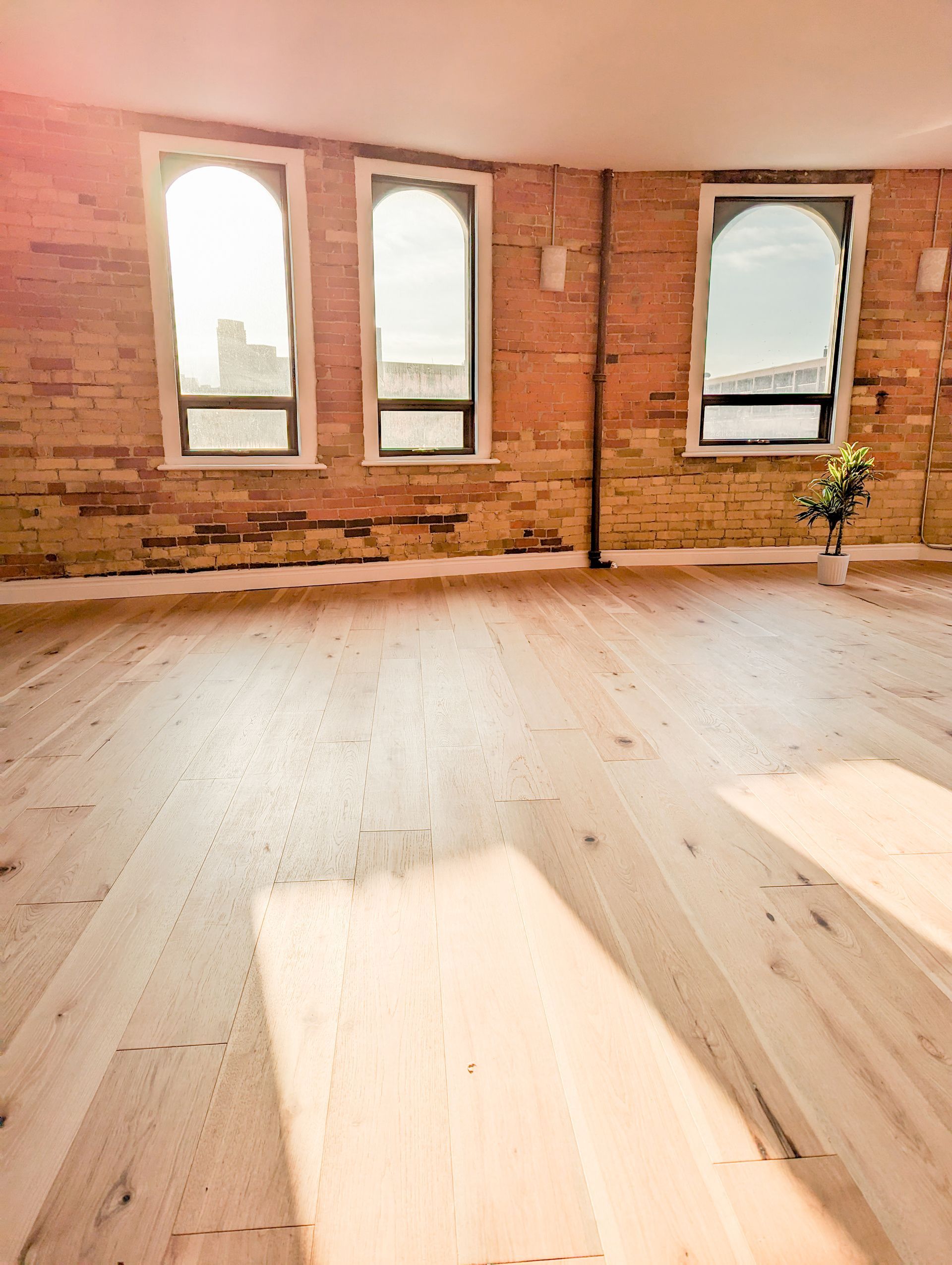 Inclusive yoga studios