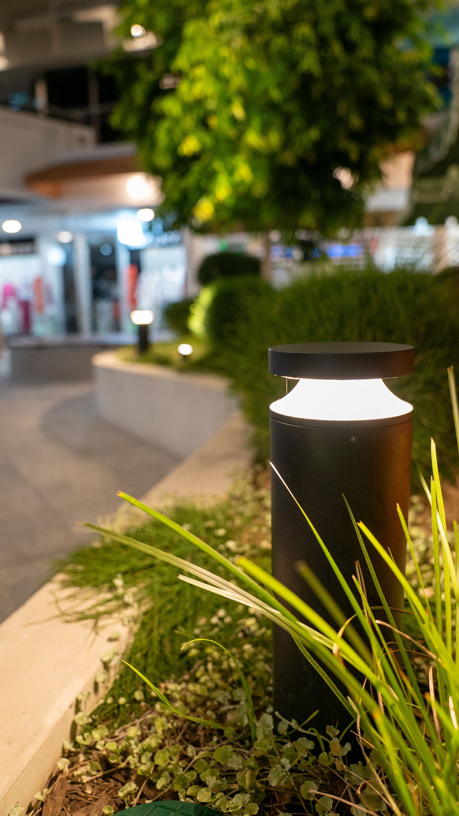 Lit Garden Path at Night With a Glowing Black Bollard Light — Ralph Ottmann Electrical in Noosa, QLD