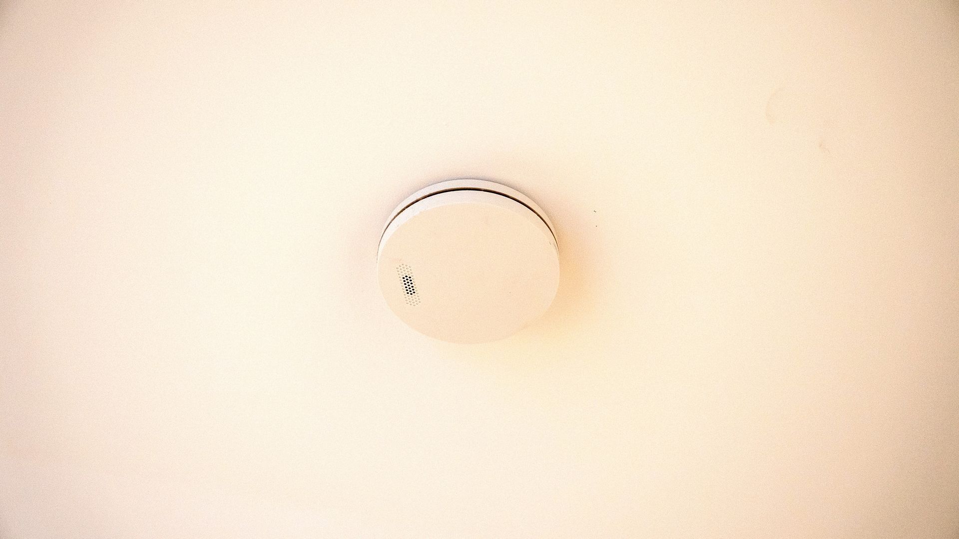 White Ceiling Smoke Detector Mounted on a Plain Ceiling — Ralph Ottmann Electrical in Tewantin, QLD