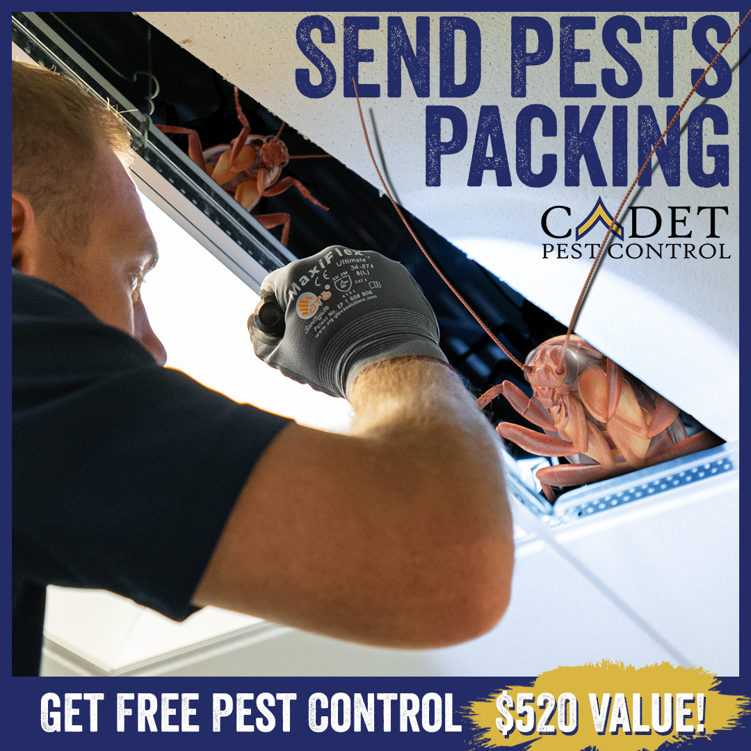 A man is working on a ceiling with an advertisement for cadets pest control
