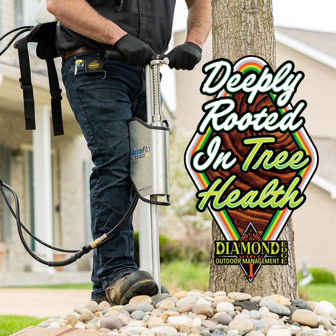 A man is standing next to a tree holding a tool.