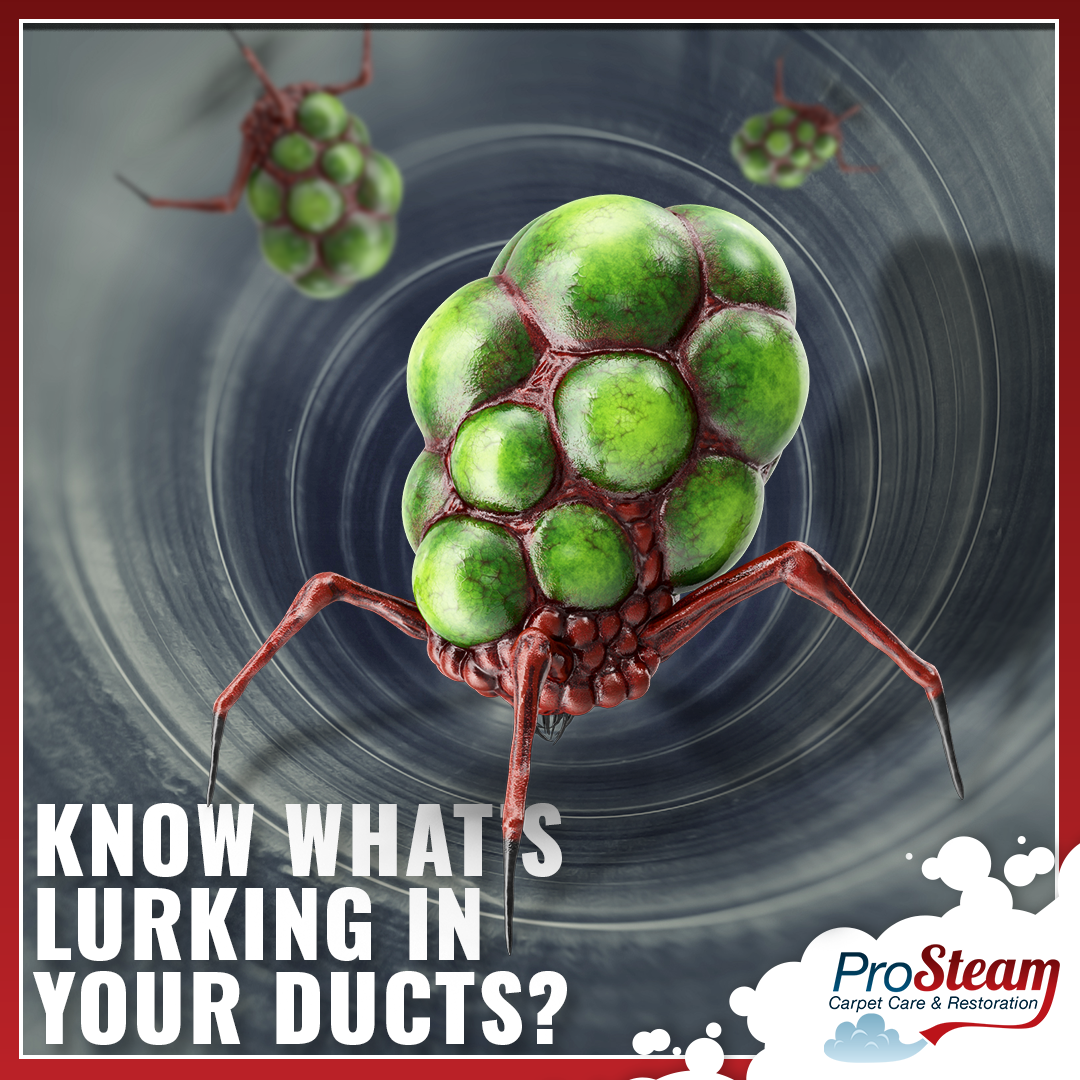 A picture of a bug with the words know what 's lurking in your ducts