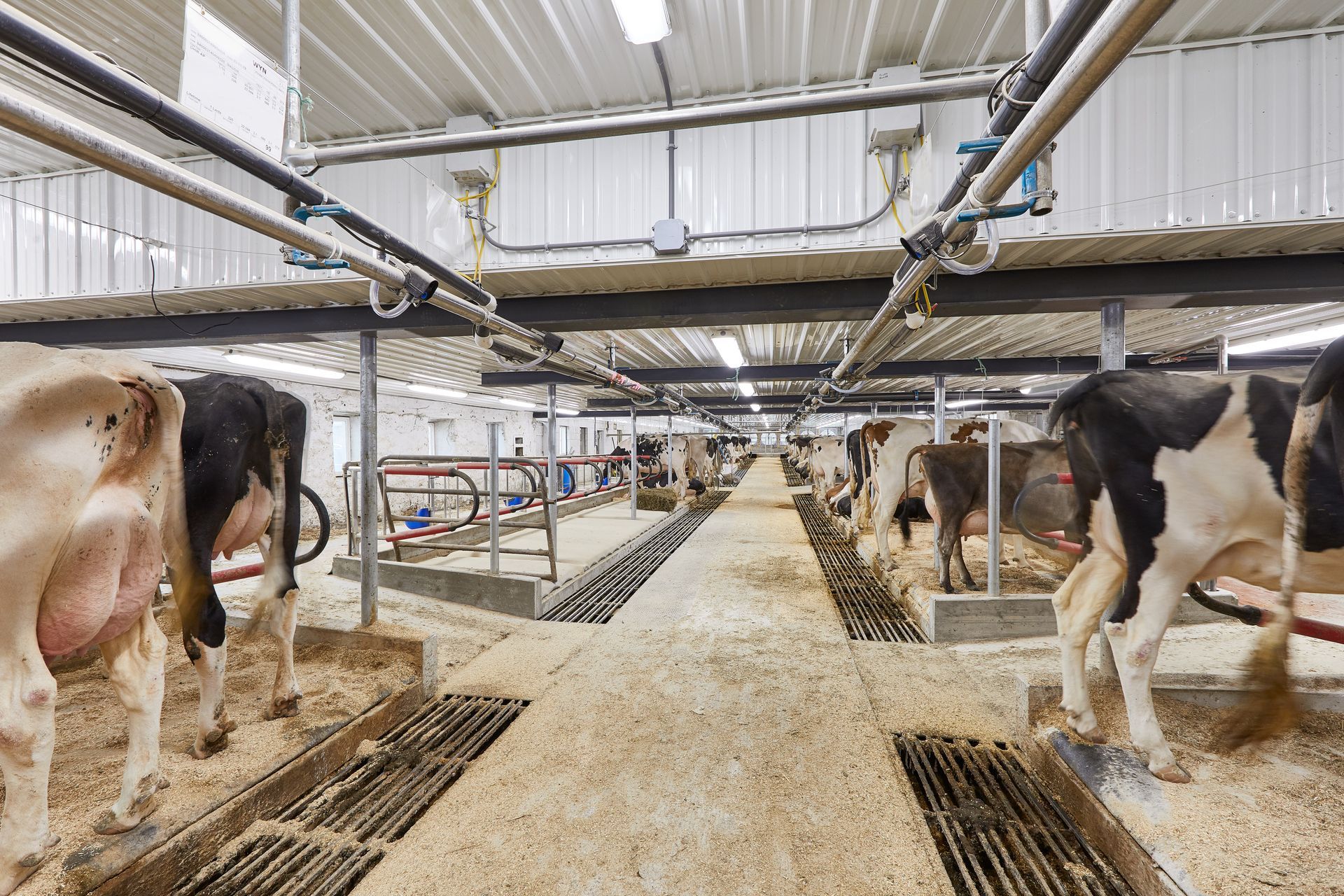 DeLaval MU Blue Takeoffs | Milking Parlor Installation in Ephrata, PA