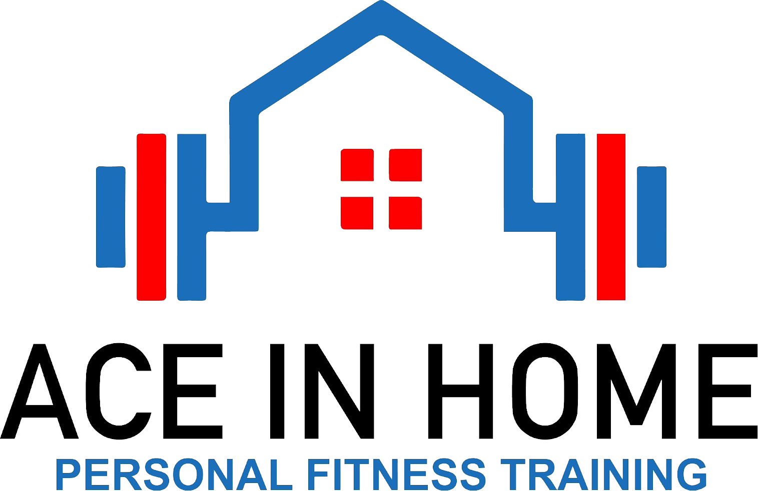 Ace In Home Personal Fitness Training Ace In Home Personal Fitness Training