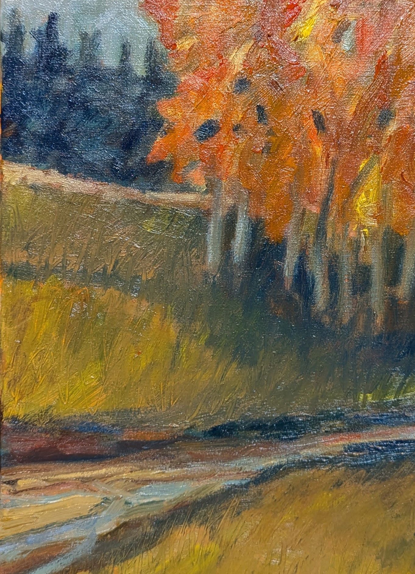 Autumn Creek by Michael Ryan