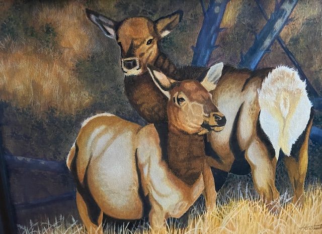 Elk Cows by Charles Street