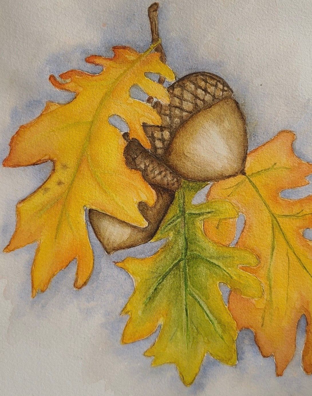 Saturday OCTOBER 17th 1-Hour Class - Colored Pencils