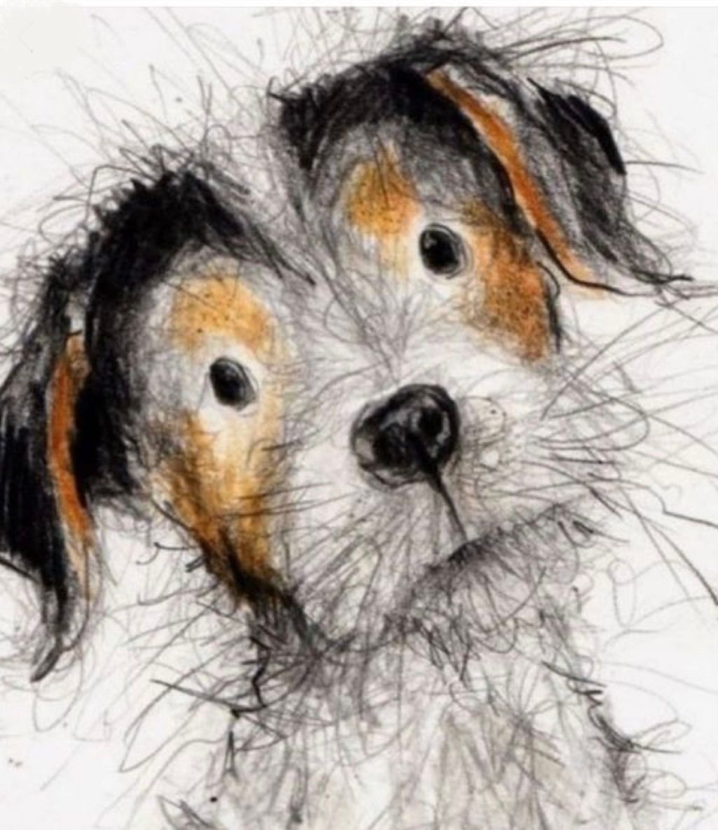 Saturday SEPT 19th 1-Hour Class - Scribble