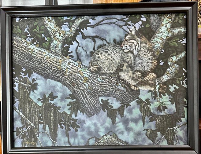 Bobcat by Charles Street