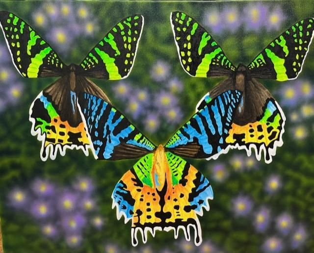 Butterflies by Charles Street