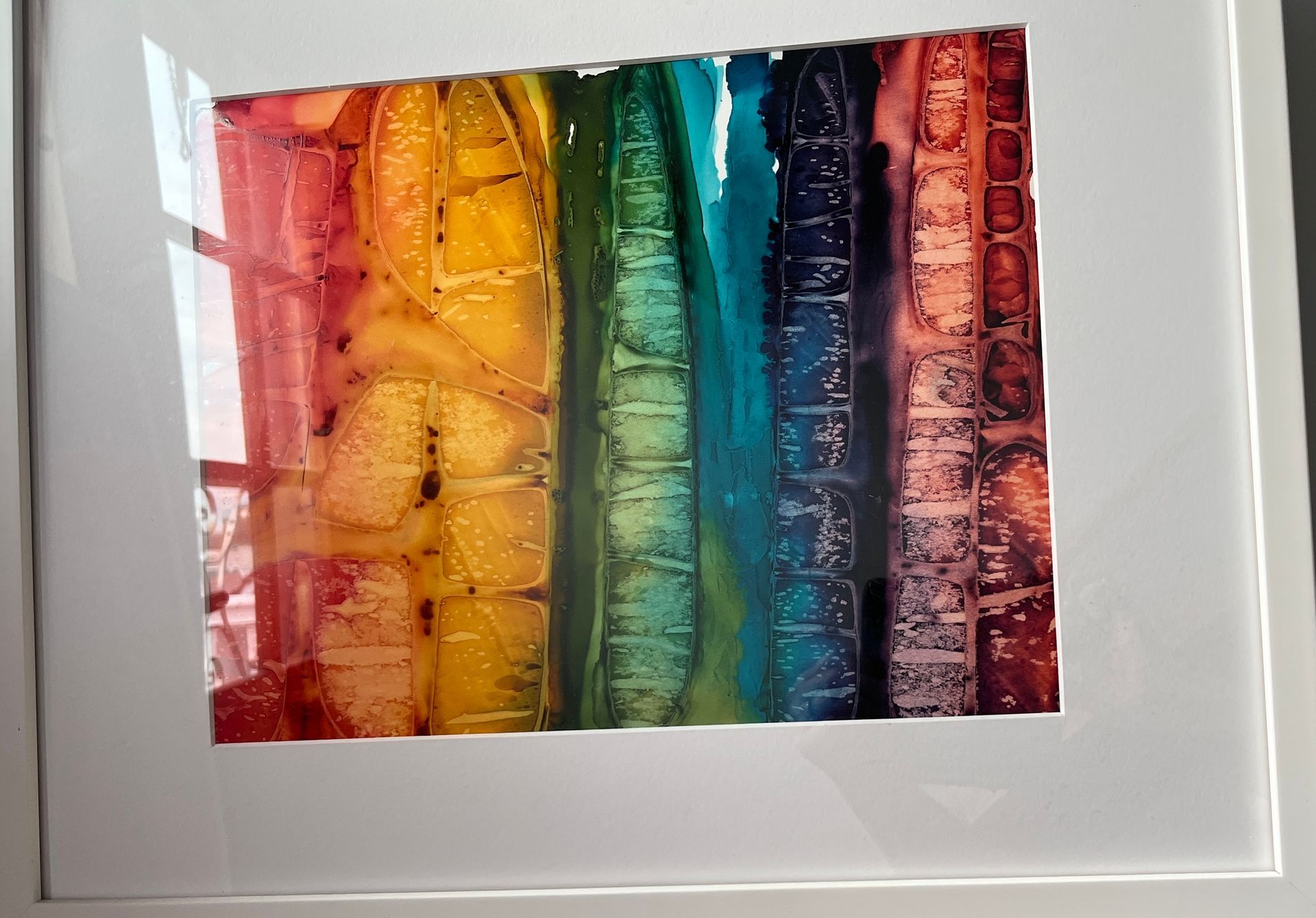 Rainbow by Denise Murphy