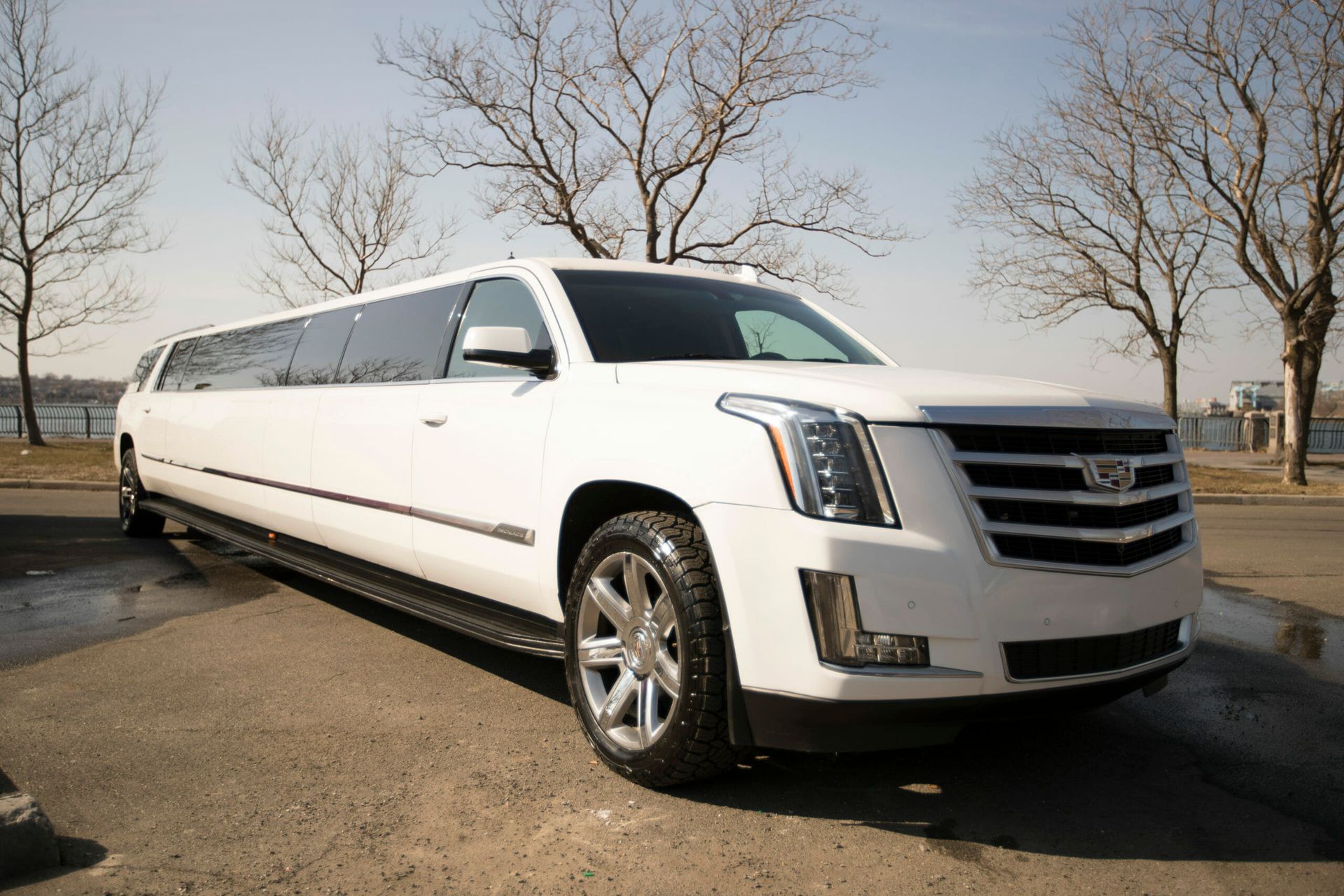 Our Fleet - RPD Limo