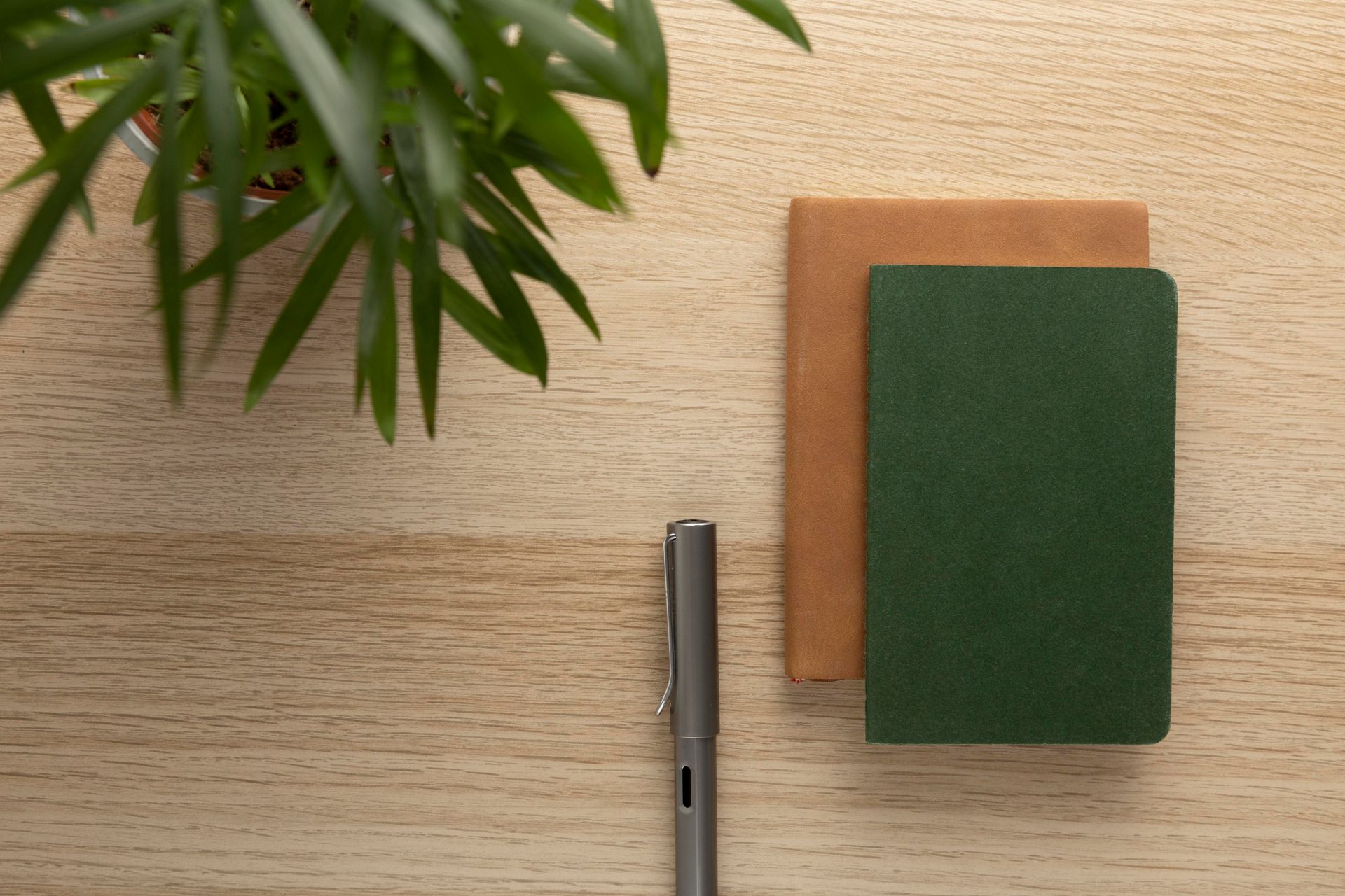 A pen , notebook , and plant are on a wooden table.