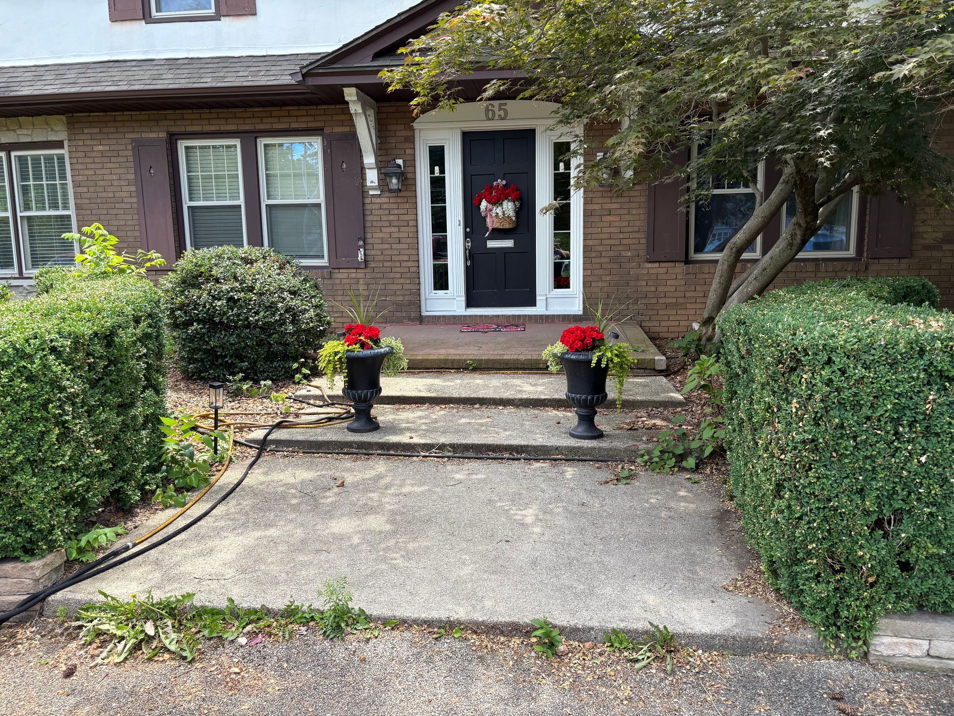 Brick house entrance with a white door, concrete walkway, and red potted flowers by the steps