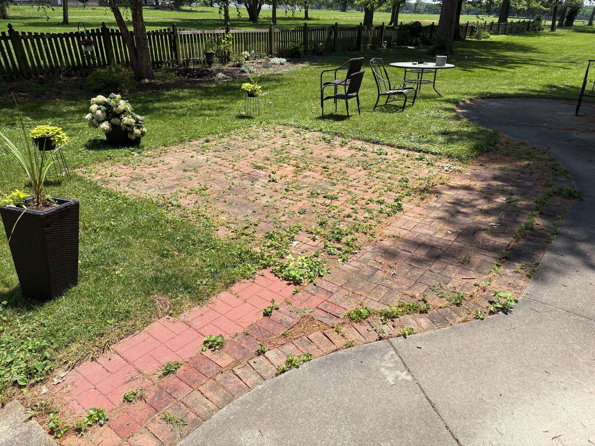 Garden path with pink brick edging, a potted plant, and benches on a sunny lawn.