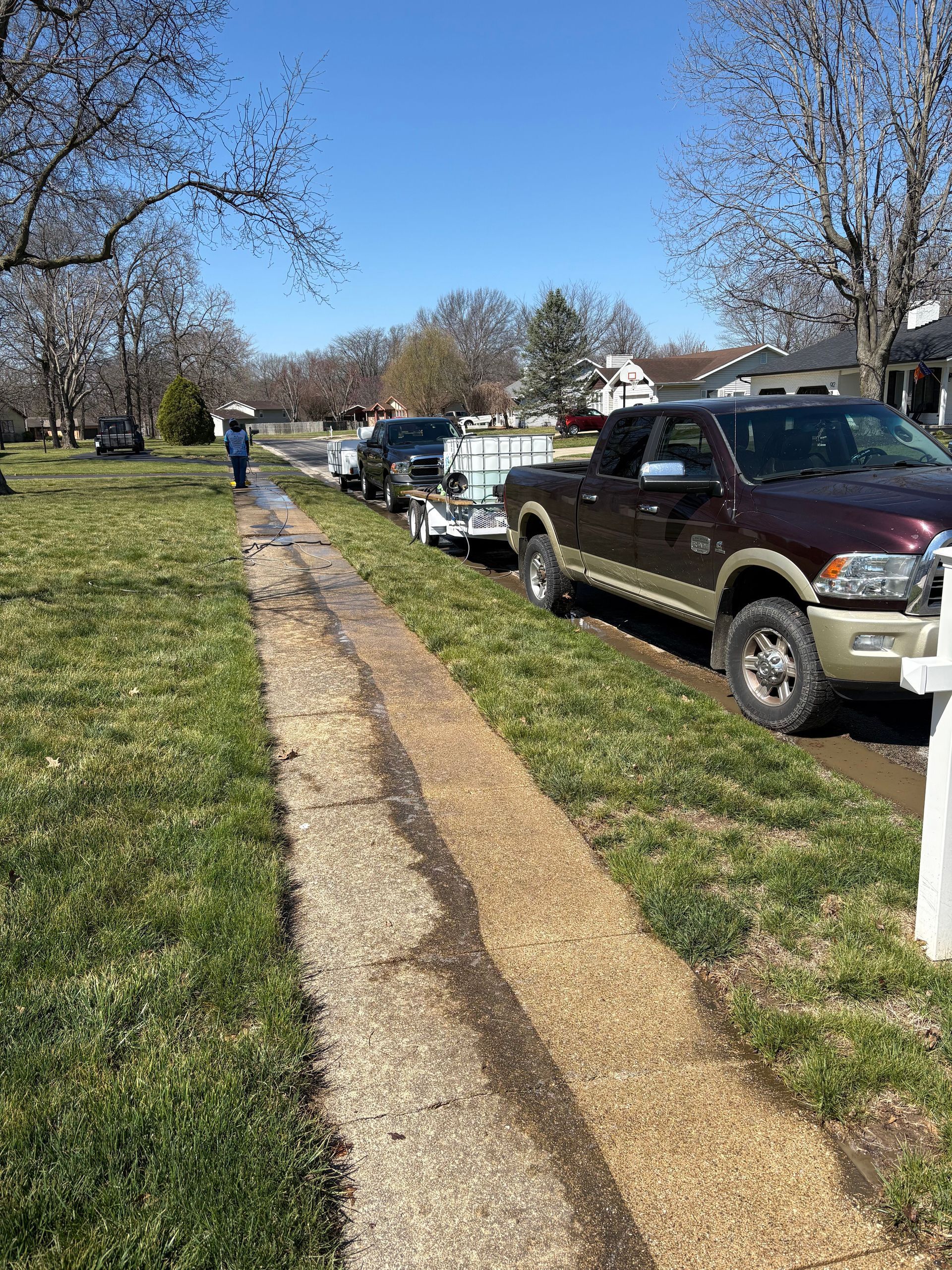 Grassy park path lined with parked cars and bare trees on a sunny day