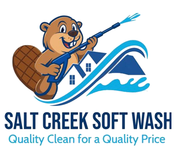 Salt Creek Soft Wash logo with beaver holding a pressure washer and blue house-wave graphic