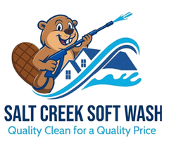 Salt Creek Soft Wash logo with beaver holding a pressure washer and blue house-wave graphic