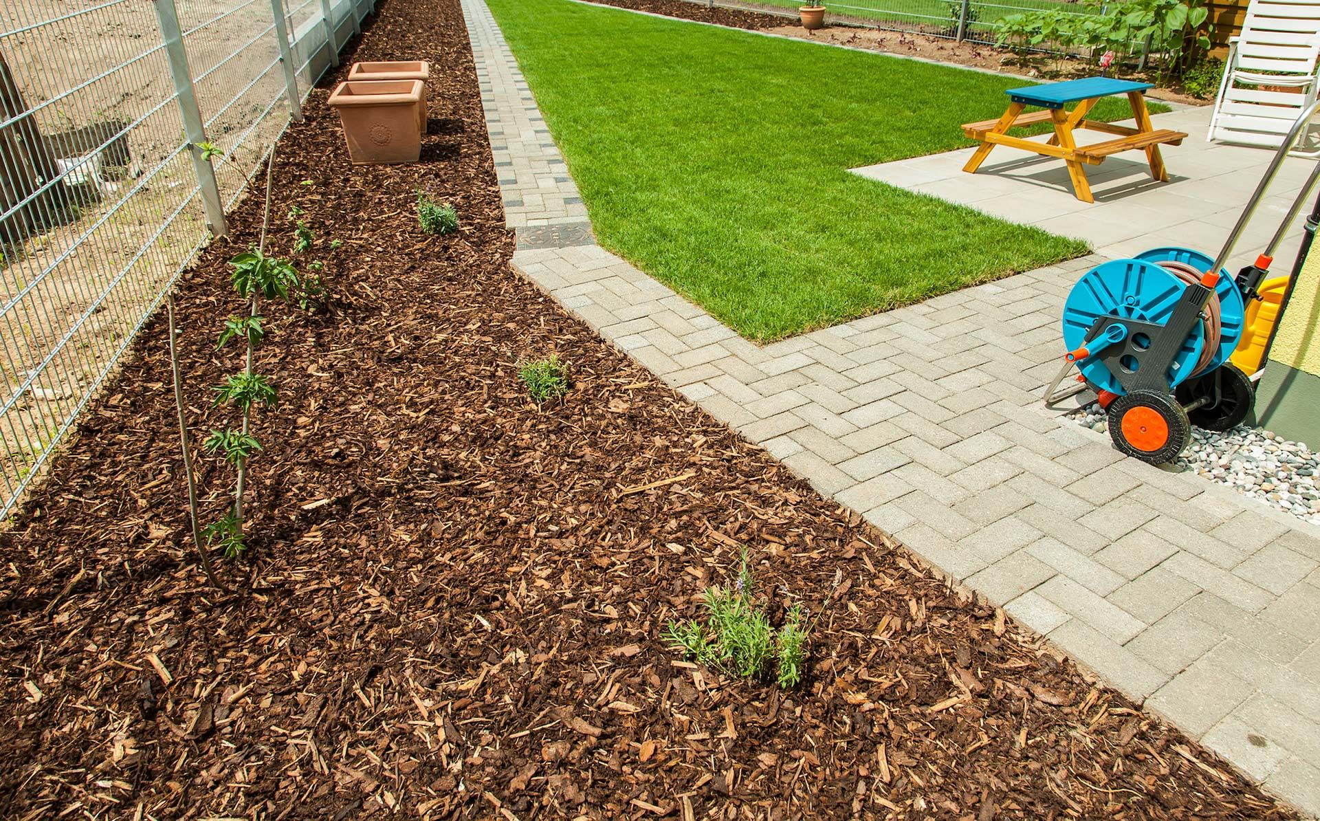 Garden bed with mulch and young plants next to a paved pathway and lawn.