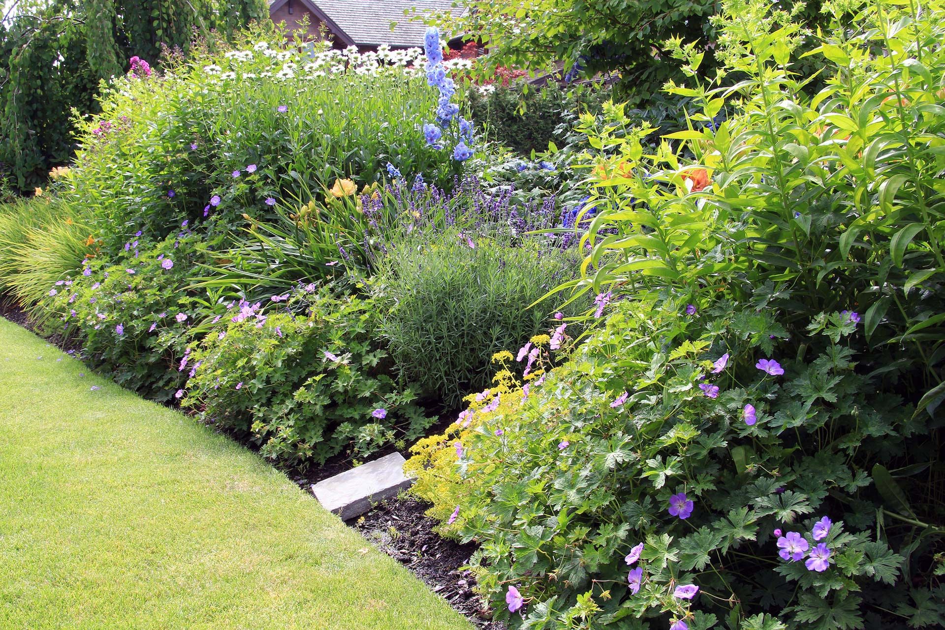 Lush garden bed overflowing with green foliage and colorful flowers next to a green lawn.