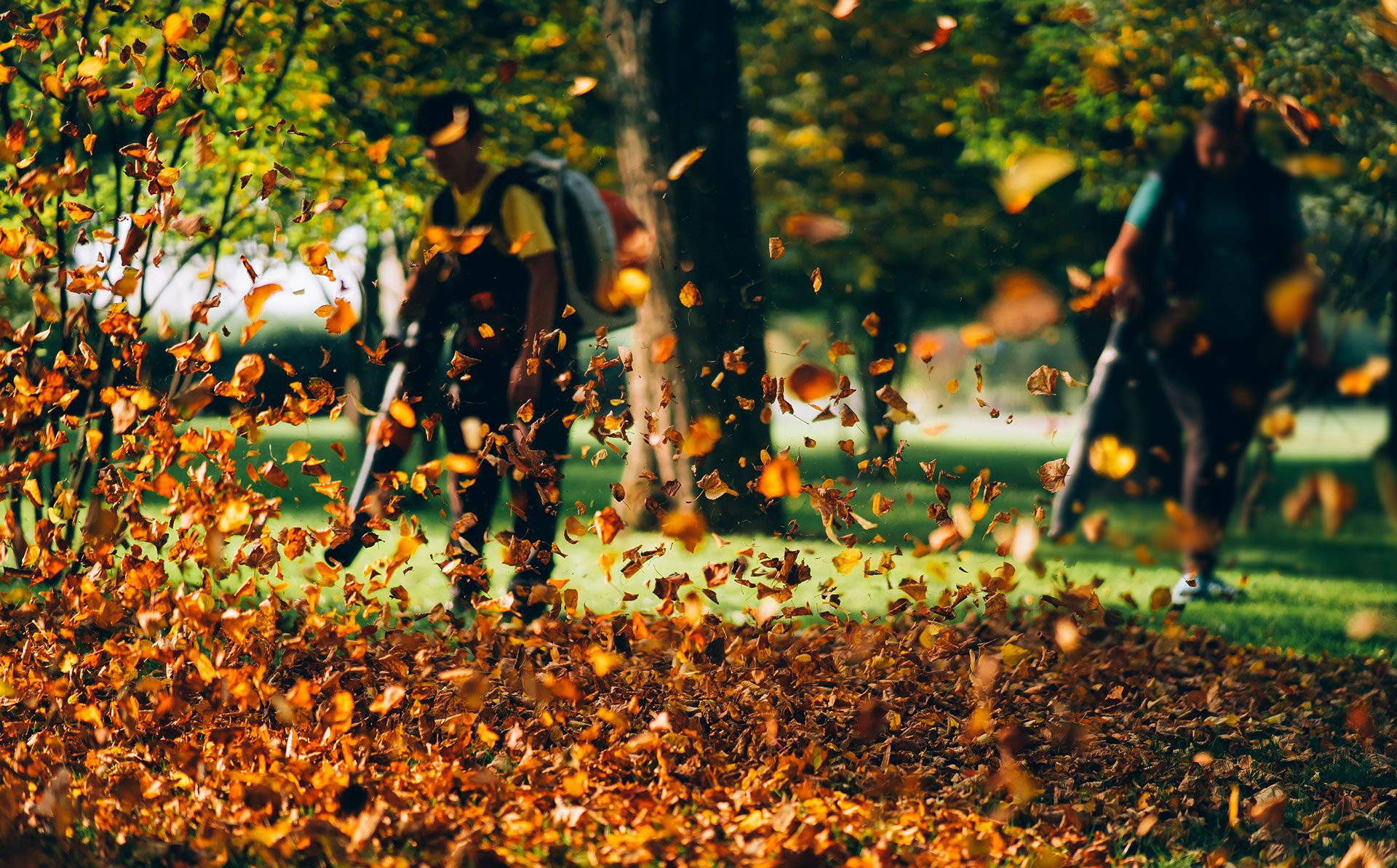 Two people using leaf blowers to clear fallen autumn leaves in a grassy park setting.