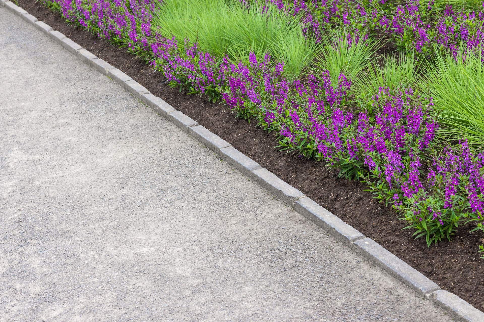 A gravel path next to a flowerbed with purple flowers and green grass.