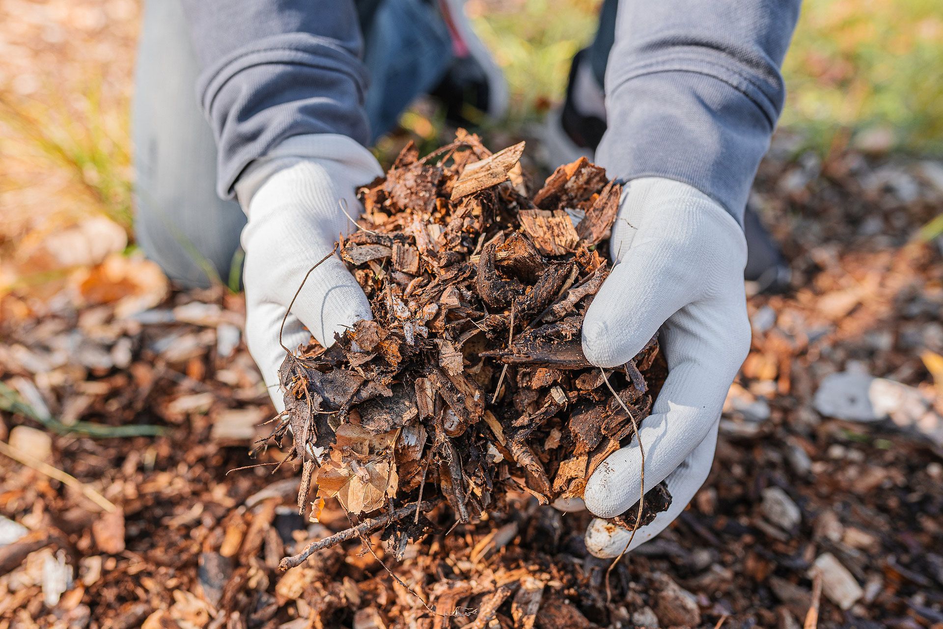 Hands in white gloves hold a pile of wood chips outdoors.