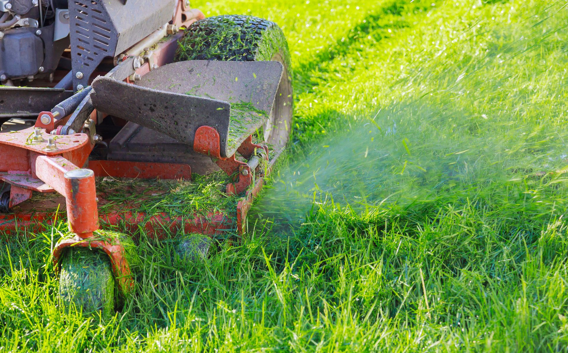 Red lawn mower cutting tall green grass, creating a spray.