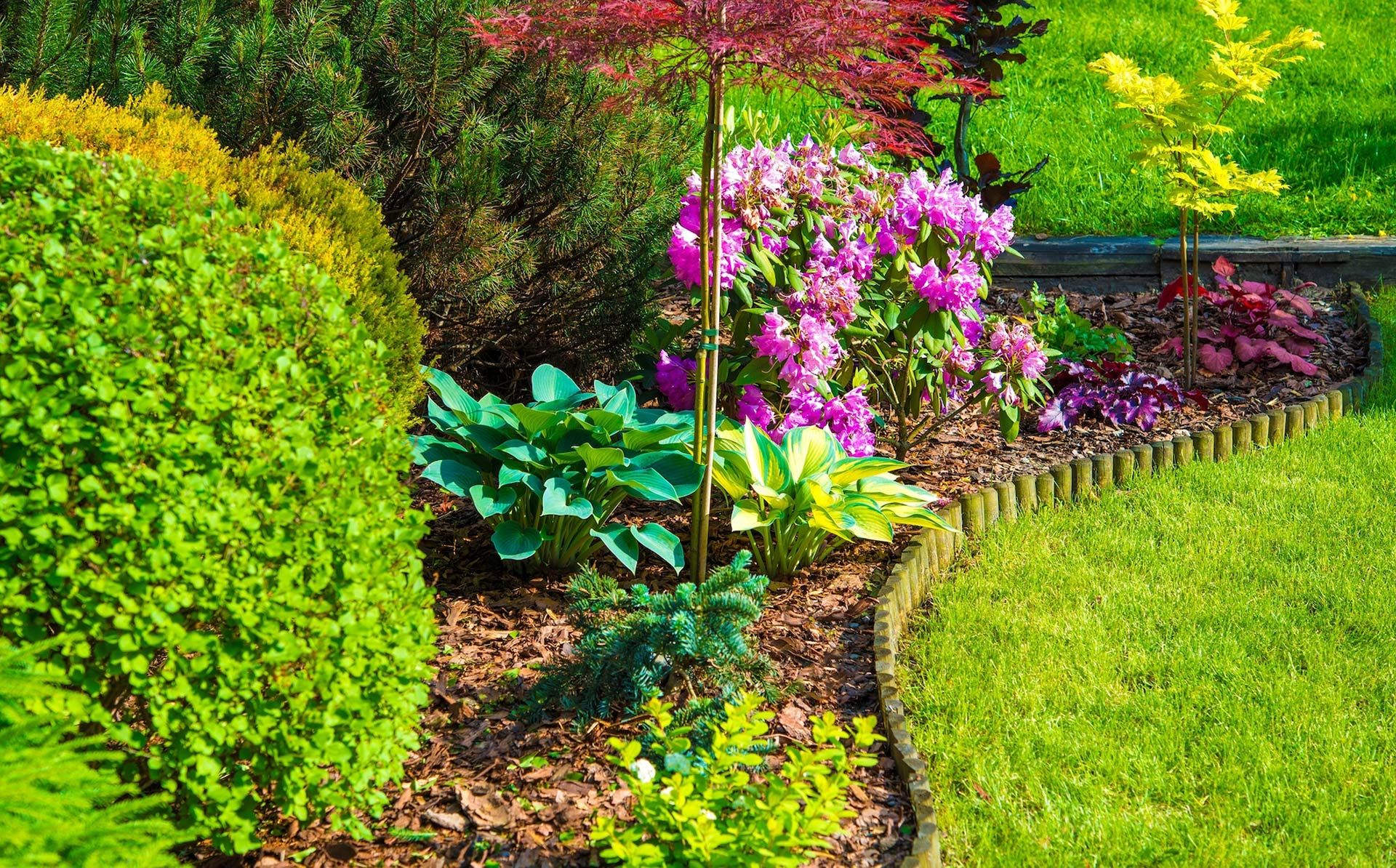 Colorful garden bed with diverse plants, bordered by wooden edging, and green lawn.