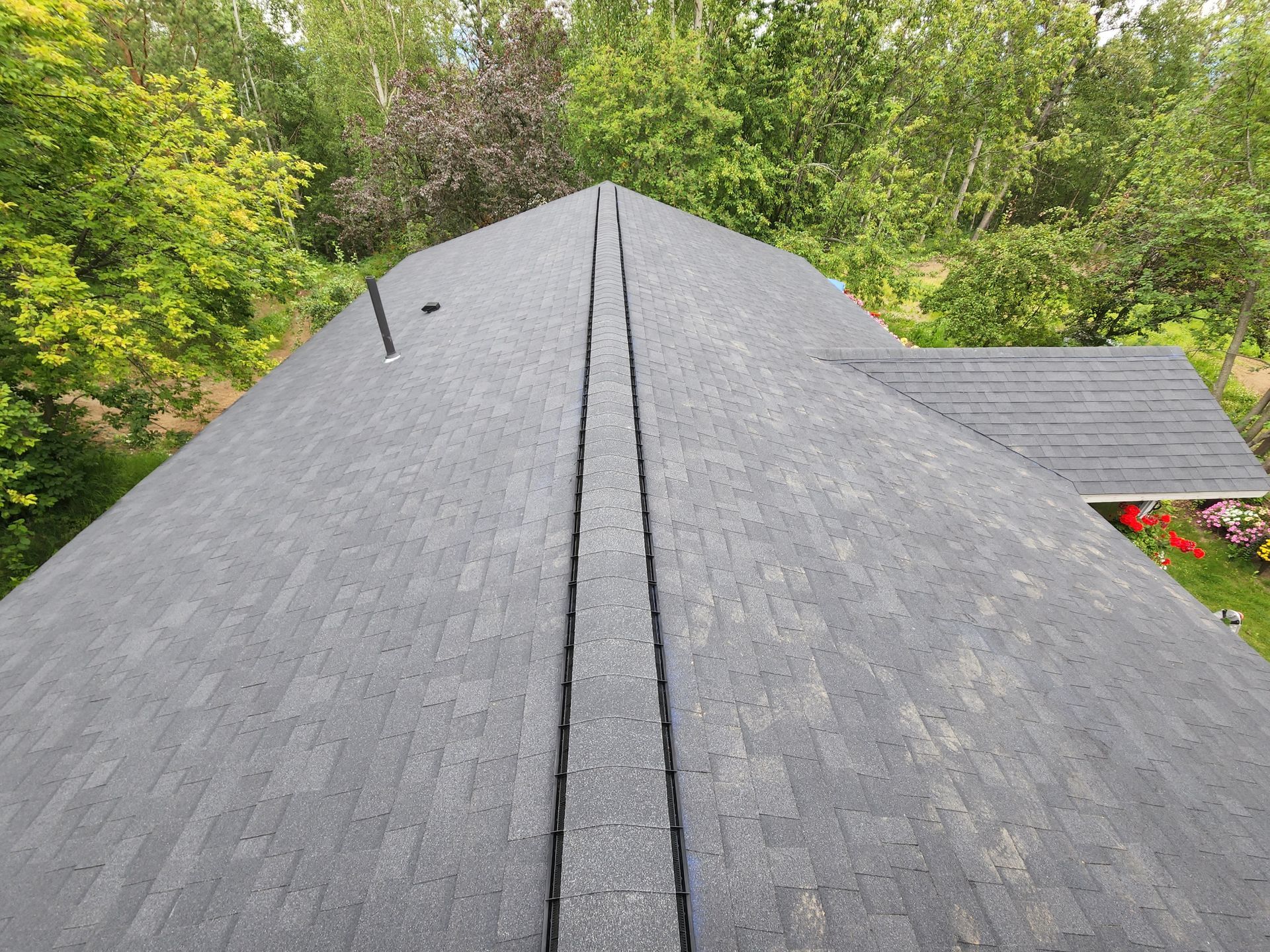 Dark shingled roof peak with trees and a small shed in the background
