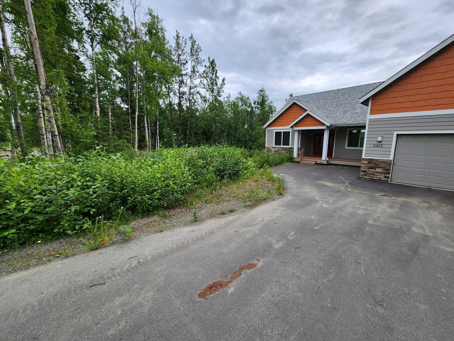 Driveway beside a house and garage, with trees and bushes along the edge.
