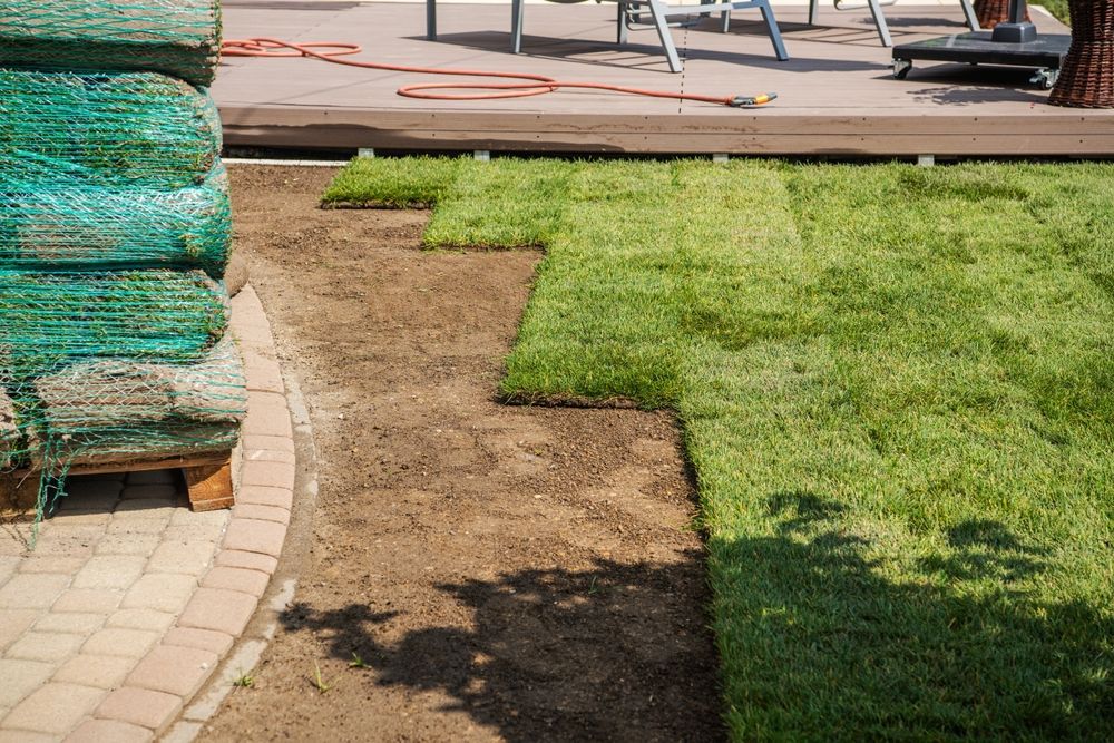 Partly finished lawn with brown patch beside a paved patio and stacked rolled turf