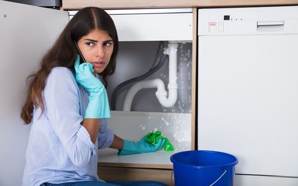 a woman is talking on a cell phone while cleaning a sink.