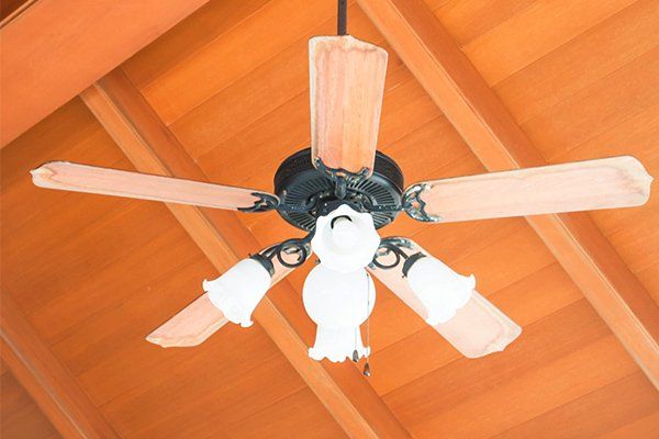 Ceiling Fan — San Diego, CA — Light Bulbs Unlimited & Lighting Solutions Ceiling Fan — San Diego, CA — Light Bulbs Unlimited & Lighting Solutions