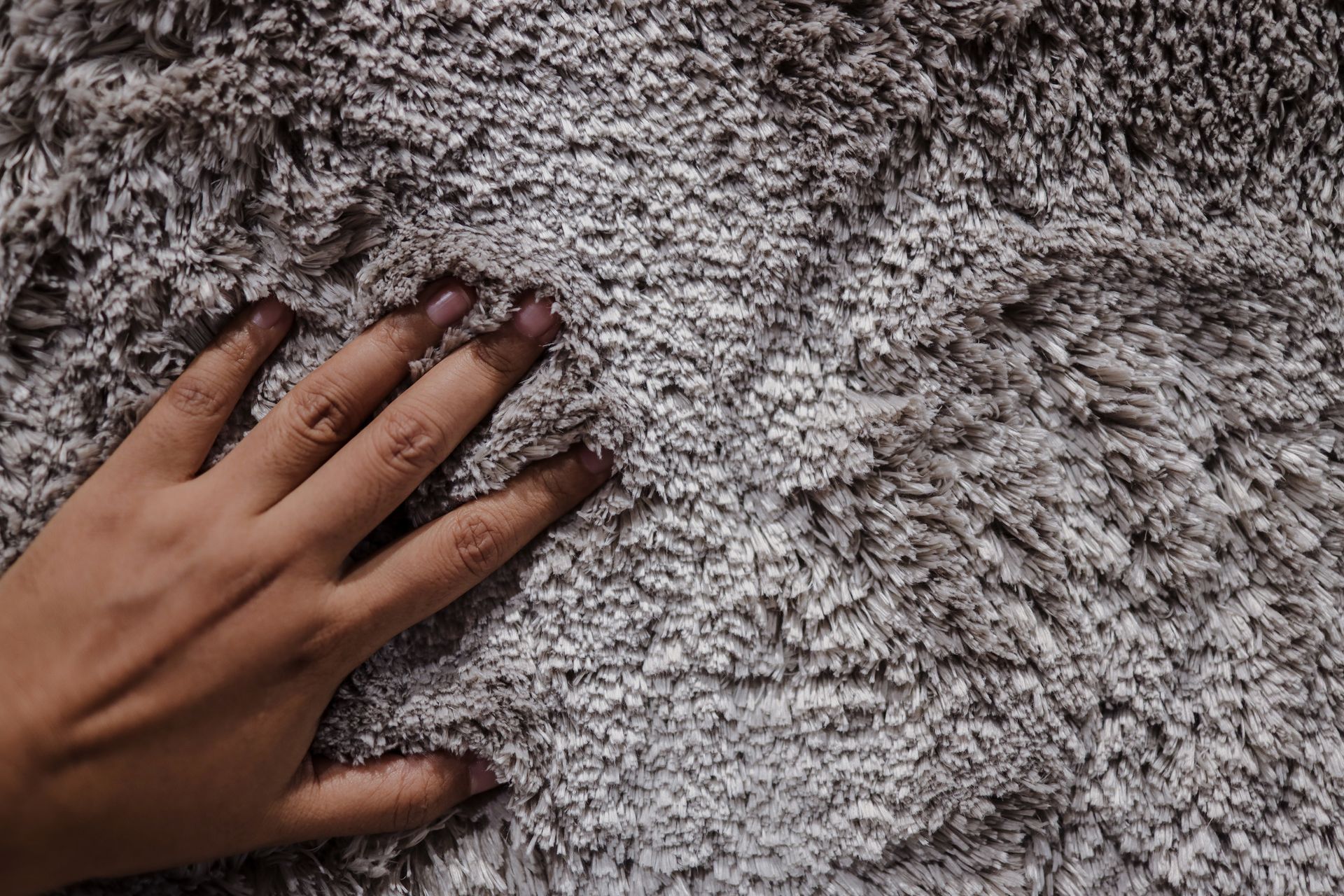 Carpet Installation Services