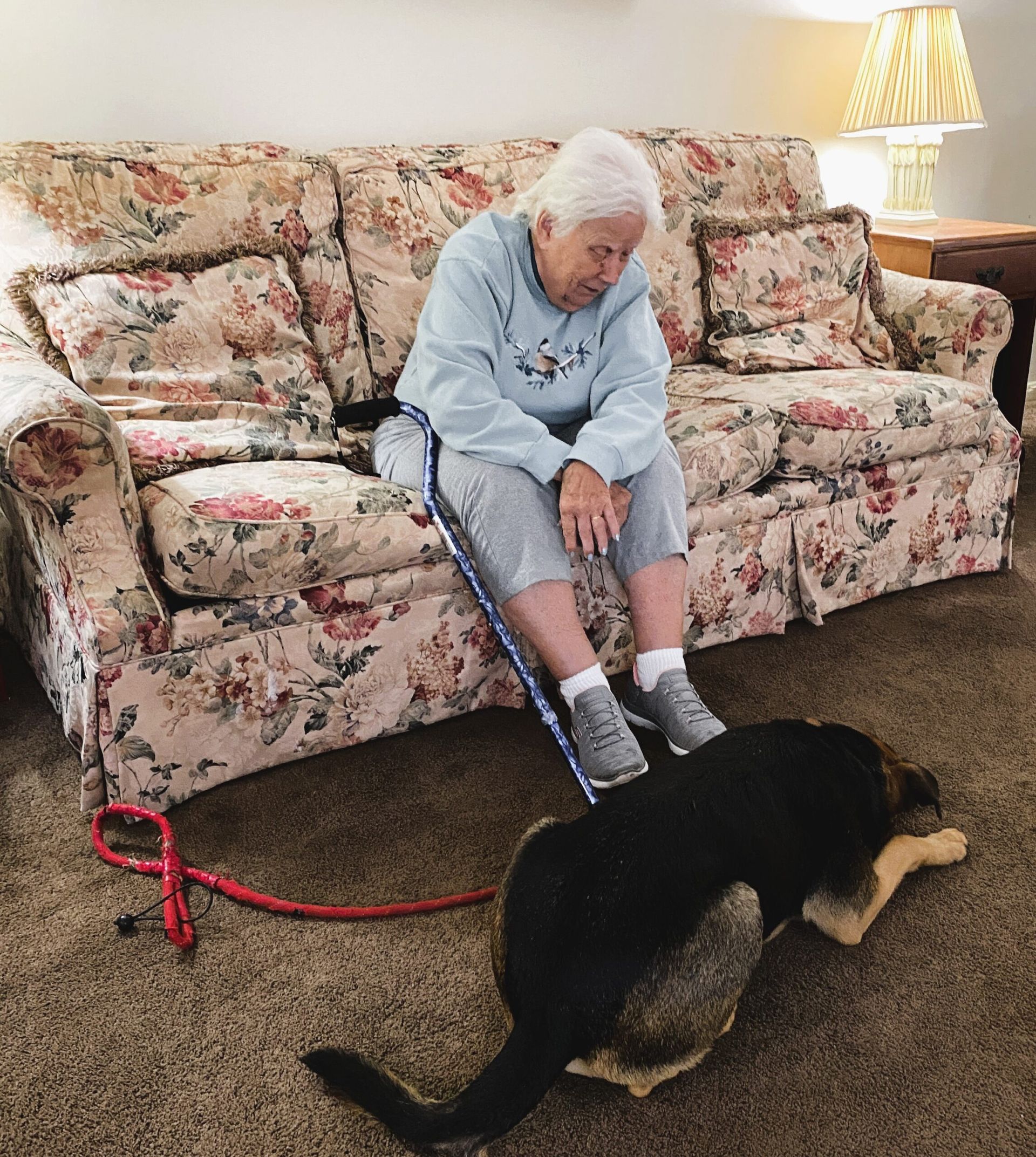 Elderly woman sits on floral sofa while a small black-and-tan dog stands on the carpet nearby.