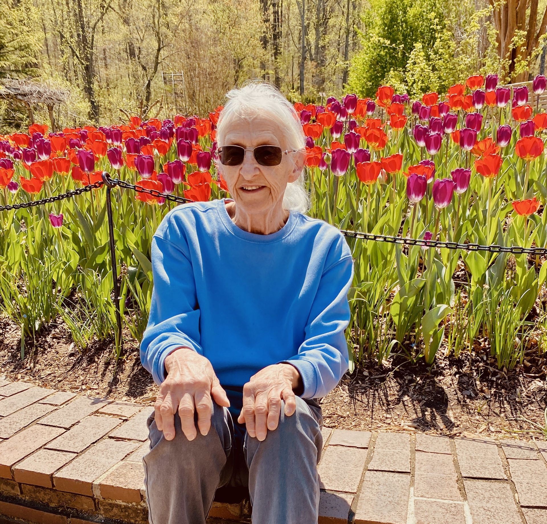 Person in sunglasses sitting in front of a colorful tulip bed on a sunny day