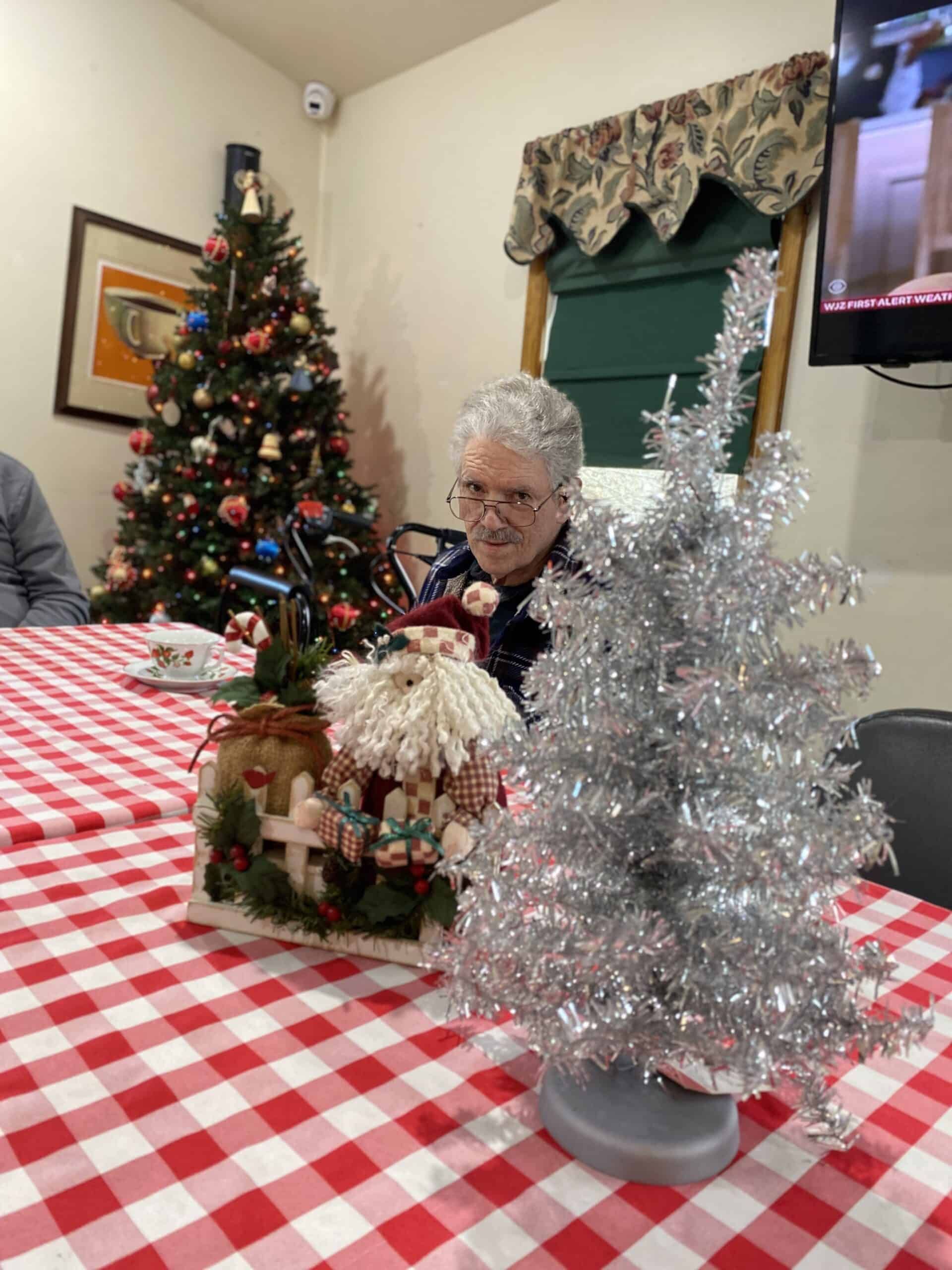 Woman beside silver and green tabletop Christmas tree at a red-and-white checkered holiday table
